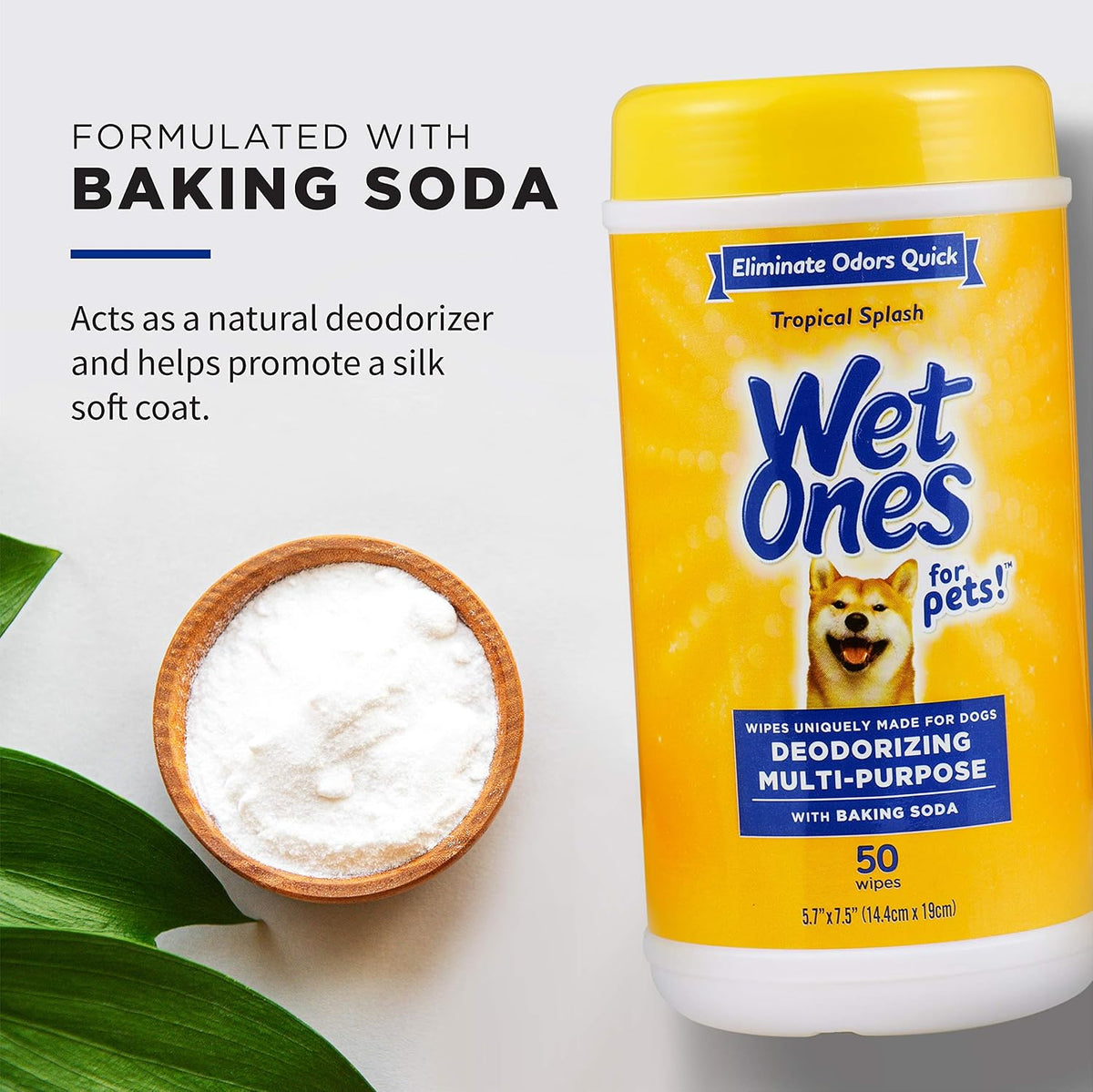 for Pets Deodorizing Dog Wipes, Tropical Splash Scent