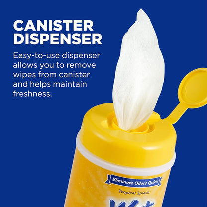 for Pets Deodorizing Dog Wipes, Tropical Splash Scent