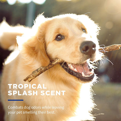 for Pets Deodorizing Dog Wipes, Tropical Splash Scent