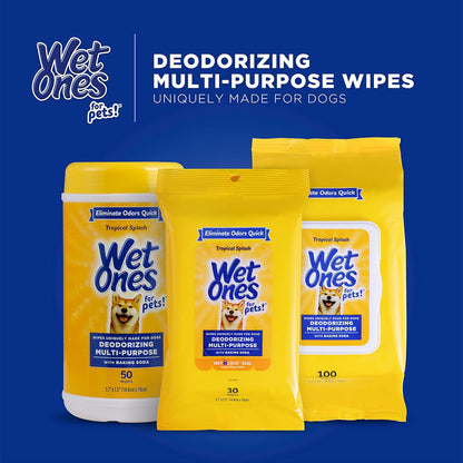 for Pets Deodorizing Dog Wipes, Tropical Splash Scent