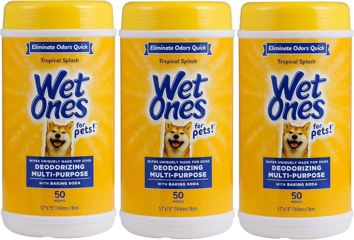 for Pets Deodorizing Dog Wipes, Tropical Splash Scent