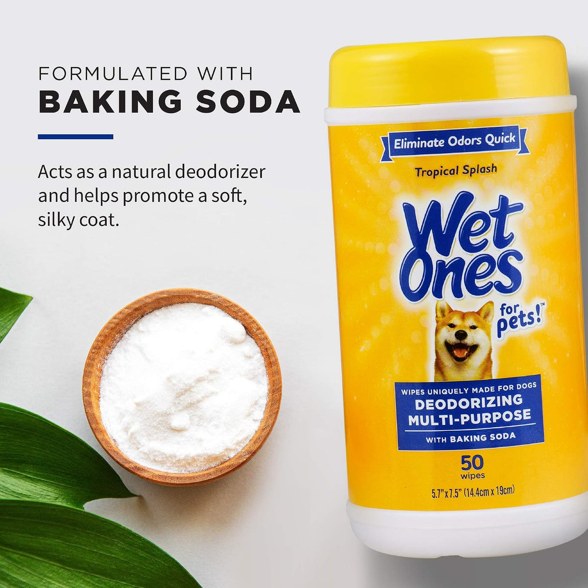 for Pets Deodorizing Dog Wipes, Tropical Splash Scent