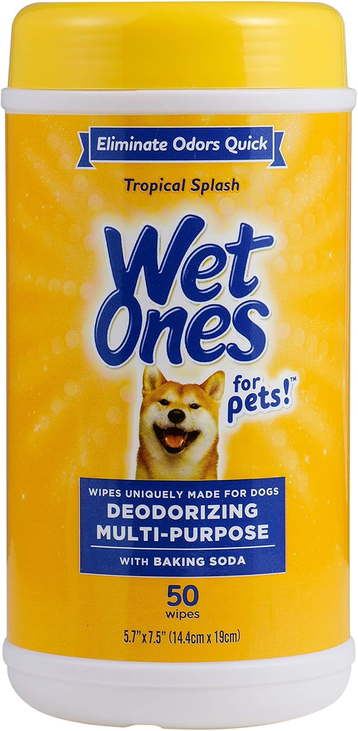 for Pets Deodorizing Dog Wipes, Tropical Splash Scent