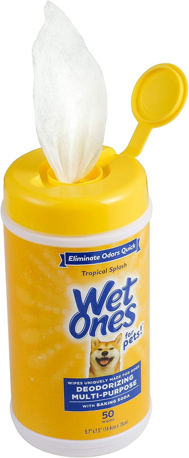 for Pets Deodorizing Dog Wipes, Tropical Splash Scent