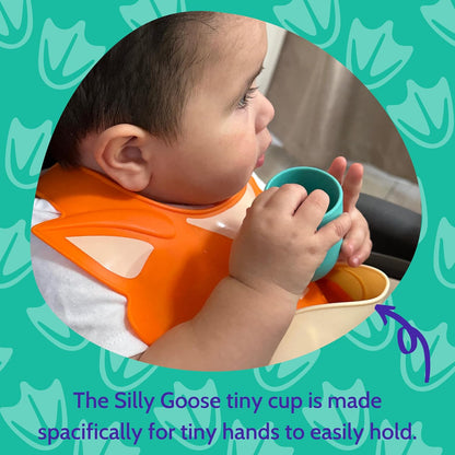 Silicone Baby Feeding Set with Cute Bib, Suction Divided Plate, Open Top Cup, and Travel Placemat, Cute Bear Design, Baby Led Weaning Supplies for Babies and Toddlers, Dishwasher Friendly
