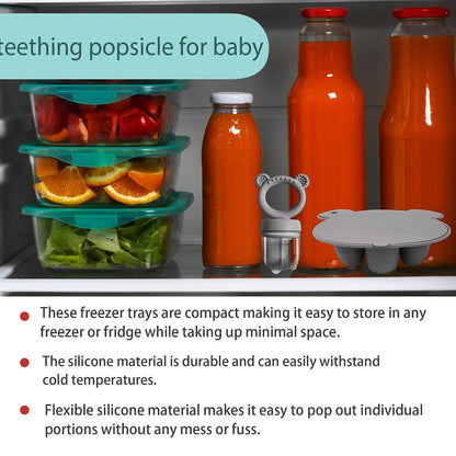 Silicone Freezer Tray Baby Fruit Feeder Food Teething Set Must-Have Pacifiers and Food Storage Containers for Babies 6 Months and Up
