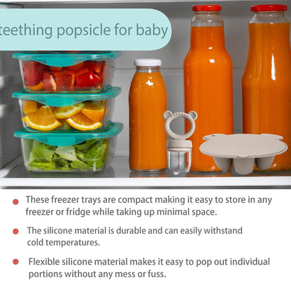 Silicone Freezer Tray Baby Fruit Feeder Food Teething Set Must-Have Pacifiers and Food Storage Containers for Babies 6 Months and Up
