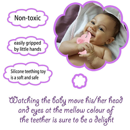 Silicone Freezer Tray Baby Fruit Feeder Food Teething Set Must-Have Pacifiers and Food Storage Containers for Babies 6 Months and Up