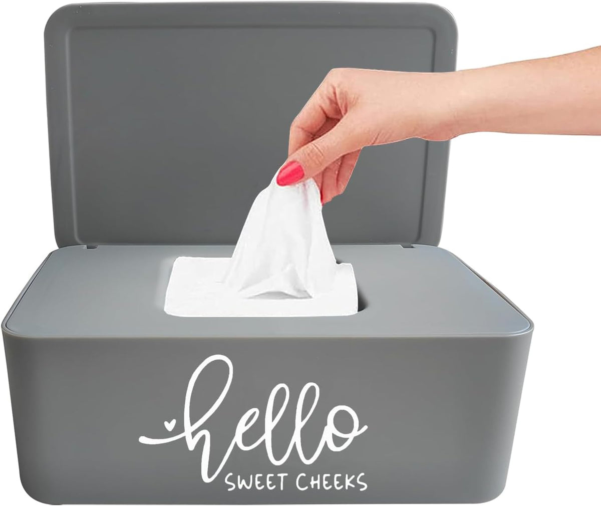 Hello Sweet Cheeks Flushable Wipes Holder Baby Wipes Dispenser