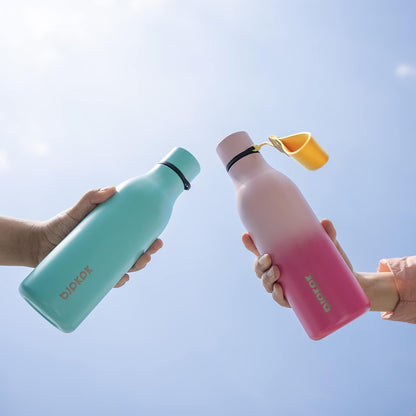 18oz Insulated Water Bottle, Stainless Steel Bottle with Carry Strap - Colors A