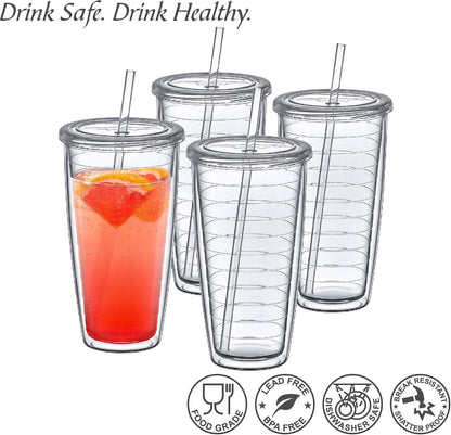 Alaska On-the-Go - 24-Ounce Insulated Plastic Tumblers with Lid and Straw (Set of 4), Double-Wall Travel Tumblers, All-Clear Drinking Glasses, BPA-Free, Shatter-Proof, Dishwasher-Safe