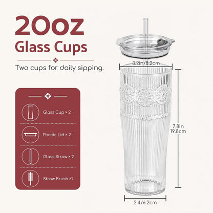 Glass Tumbler, 20 oz Iced Coffee Cup with Straw and Lid | Daisy pattern design, 2-in-1 leakproof lid, reusable glass design for iced coffee, tea & smoothies, for home, office & travel