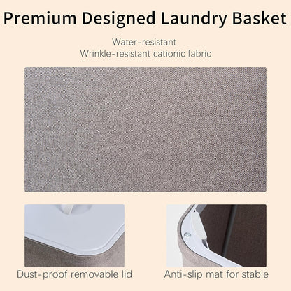 Laundry Hamper with Lid, 2 Compartment Sorter for Bedroom