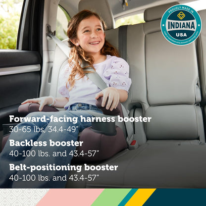 Boost-and-Go 3-in-1 Harness Booster Car Seat, High Street