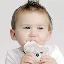 Reusable Baby Food Pouches, 6 Pack, 5oz, Assorted Animals