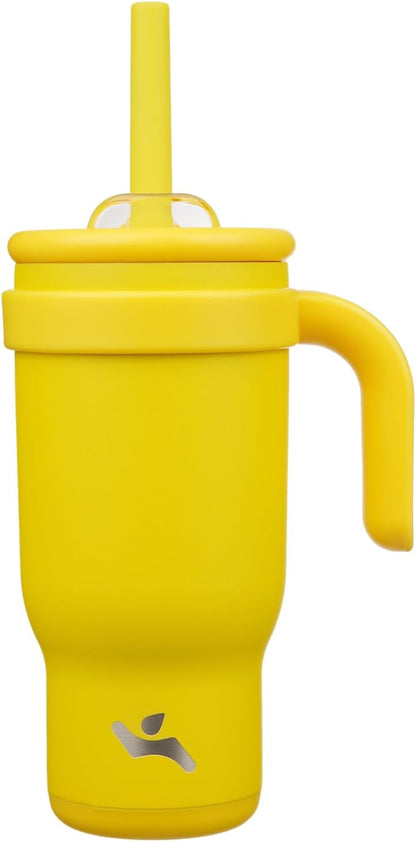 30 oz Tumbler with Handle and Straw, Insulated Travel Mug | Lime; BPA-free, spill-resistant tumbler with 2 straws and 2-in-1 lid for coffee, office, travel & daily use